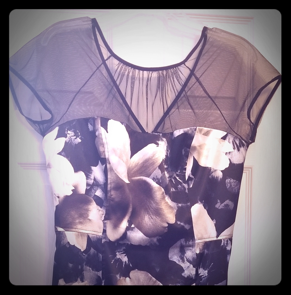 Maggy London knee length dress